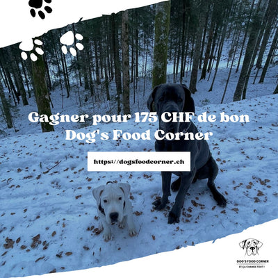 Gagner pour 175 CHF de bon Dog's Food Corner