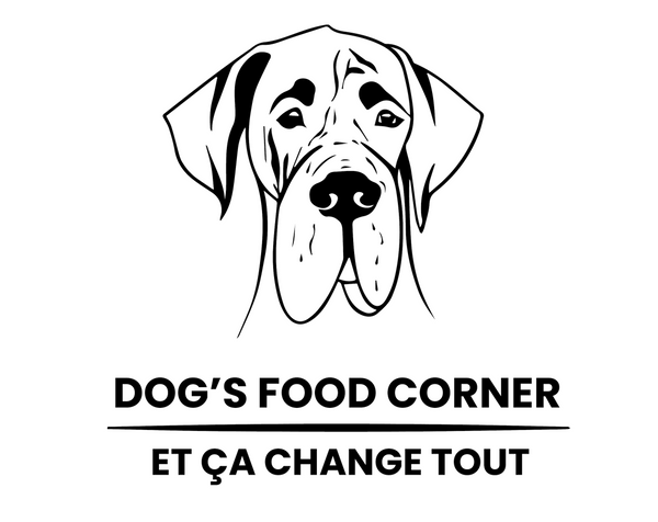 Dog's Food Corner